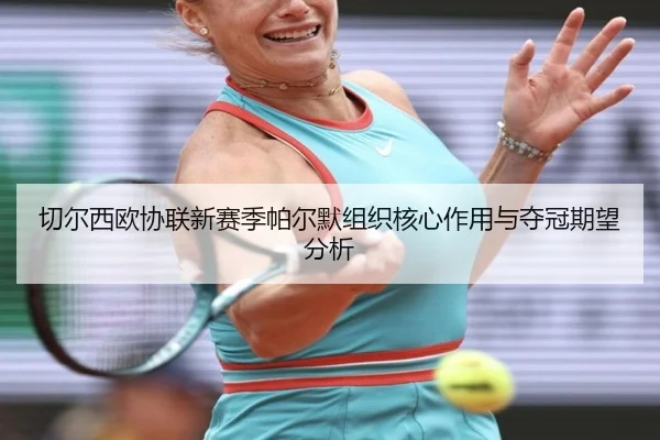 qie-er-xi-ou-xie-lian-xin-sai-ji-pa-er-mo-zu-zhi-he-xin-zuo-yong-yu-duo-guan-qi-wang-fen-xi-3-869.jpg